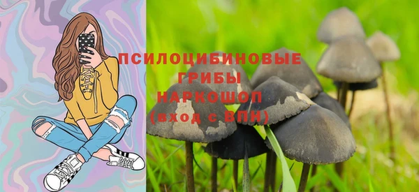 а пвп мука Алексеевка